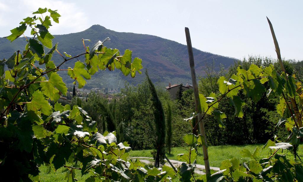 Al Palazzaccio Villa Калчи Екстериор снимка