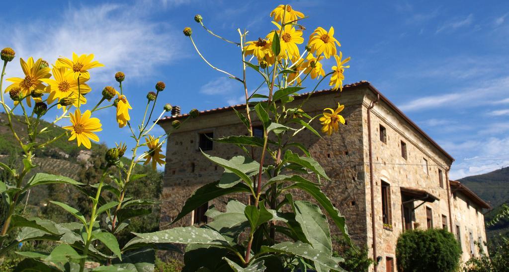 Al Palazzaccio Villa Калчи Стая снимка